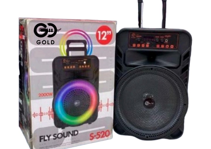 Parlante Fly Sound S520 12"